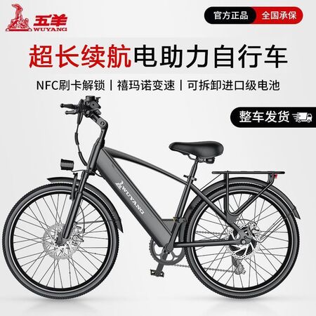 锂电池电动自行车双刹车安全可靠